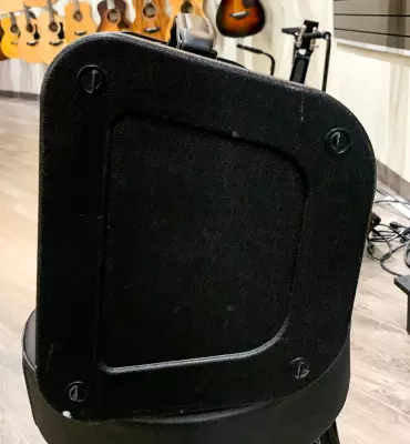 Traynor - 65 Watt Acoustic Amp w/Effects 2